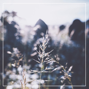 国产精品精华液网站
