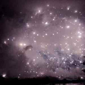 国产精品精华液网站
